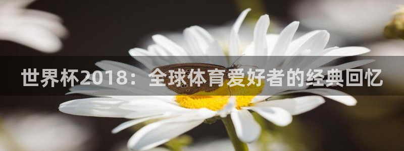 世界杯比赛赛程:世界杯2018:全球体育爱好者的经典回忆