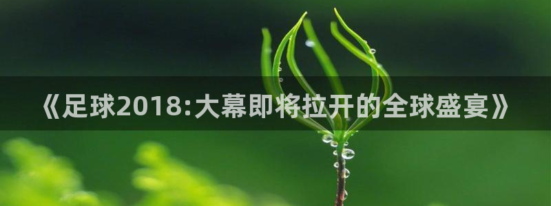 世界杯预选赛规则:《足球2018:大幕即将拉开的全球盛宴》