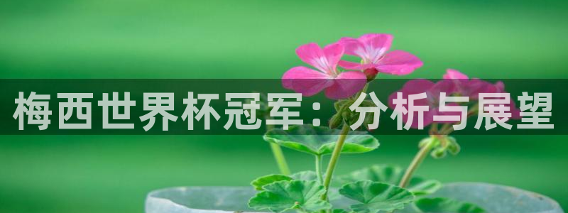 世界杯足球：梅西世界杯冠军：分析与展望