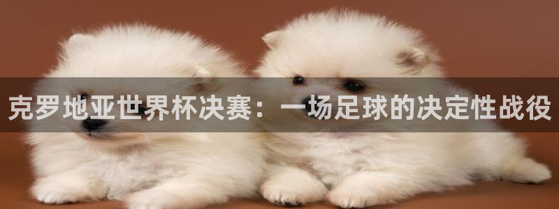 亚洲杯足球：克罗地亚世界杯决赛：一场足球的决定性战役