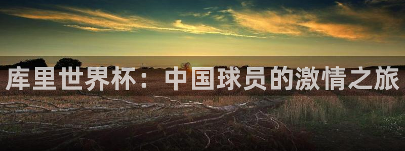 2026年足球世界杯赛程时间表:库里世界杯:中国球员的激情之旅
