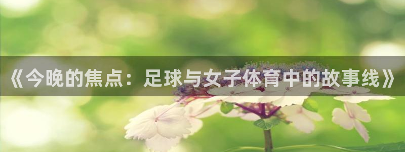 2026世界杯亚洲区预选赛：《今晚的焦点：足球与女子体育中的故事线》
