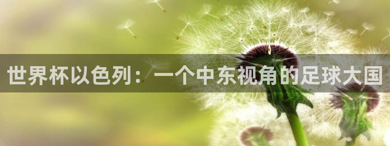 2026男足世界杯赛程：世界杯以色列：一个中东视角的足球大国