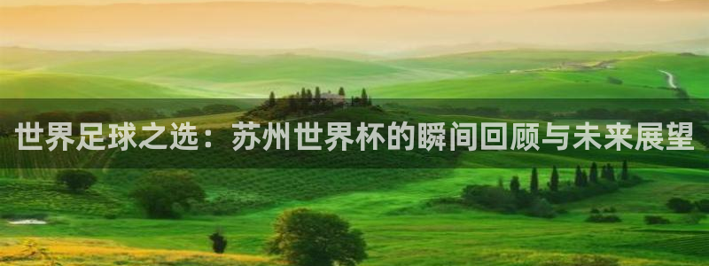 世界杯欧洲区预选赛：世界足球之选：苏州世界杯的瞬间回顾与未来展望