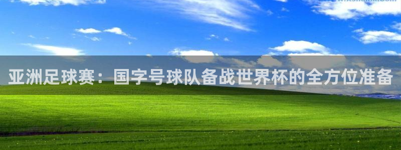 2026世界杯官网：亚洲足球赛：国字号球队备战世界杯的全方位准备