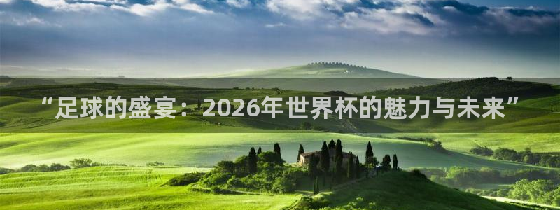 英格兰联赛杯直播：“足球的盛宴：2026年世界杯的魅力与未来”