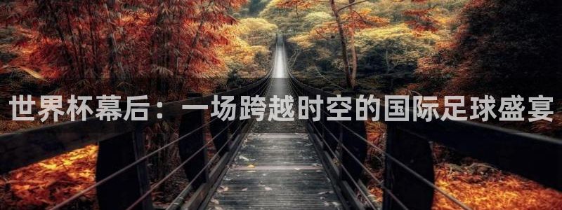 世界杯在线直播：世界杯幕后：一场跨越时空的国际足球盛宴