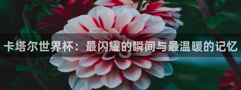 世界杯预选赛：卡塔尔世界杯：最闪耀的瞬间与最温暖的记忆