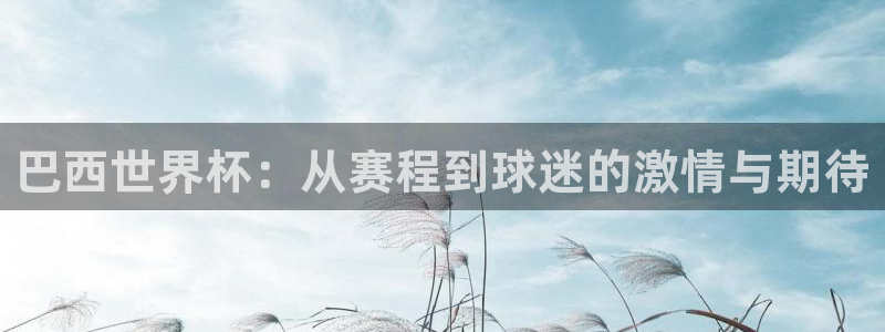 2026世界杯南美区积分榜：巴西世界杯：从赛程到球迷的激情与期待