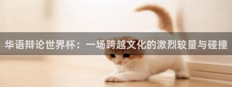 2026世界杯小组赛赛程时间表：华语辩论世界杯：一场跨越文化的激烈较量与碰撞